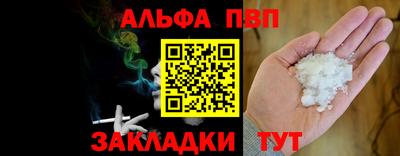 стафф Кингисепп