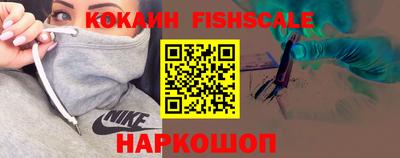 стафф Кингисепп