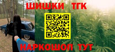 стафф Кингисепп
