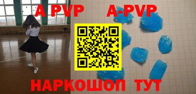 стафф Кингисепп