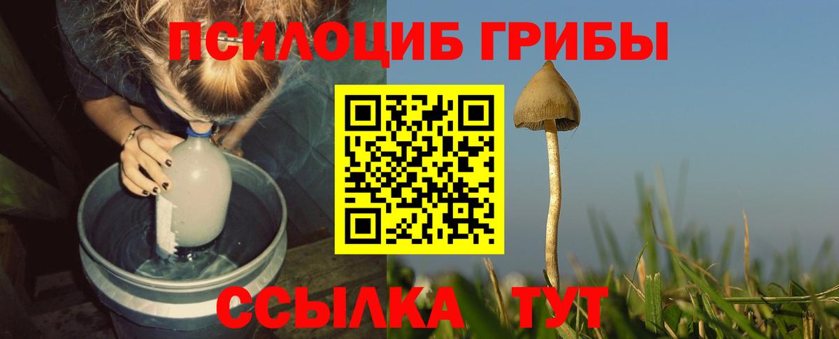 Киров  Псилоцибиновые грибы GOLDEN TEACHER  Псилоцибиновые грибы Cubensis  где найти   Вход с VPN 